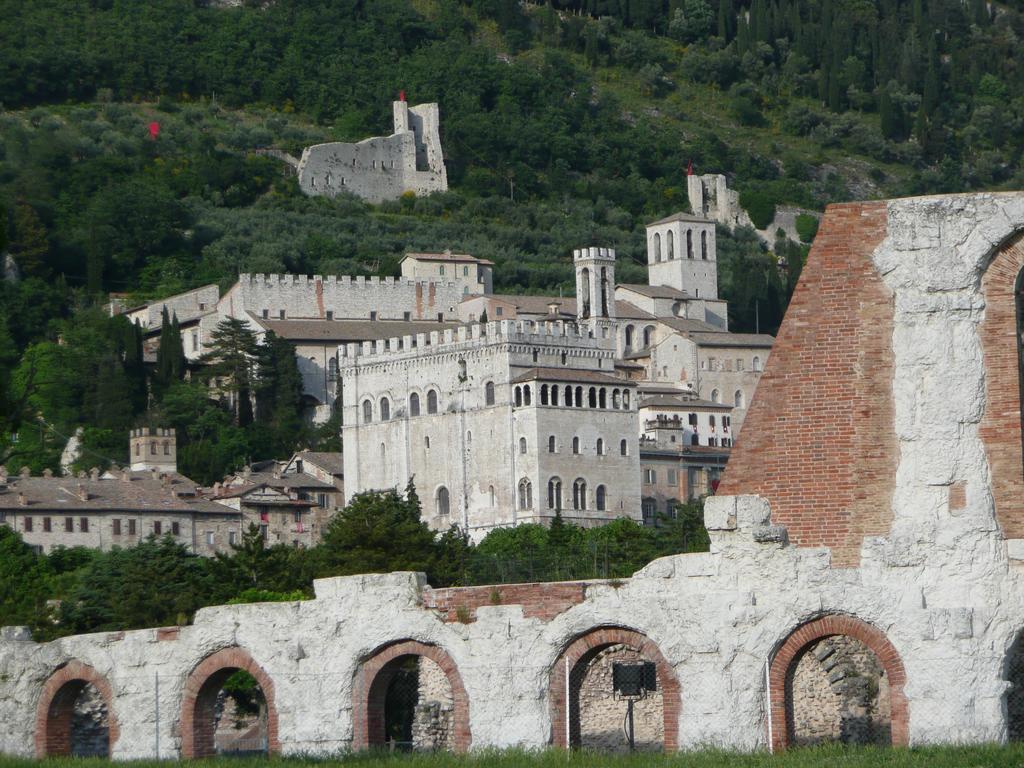 Bed & Breakfast Residenza Di Via Piccardi *